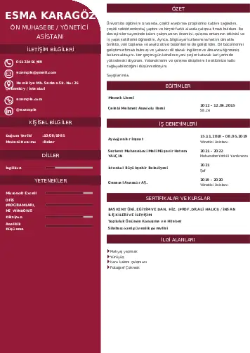 Yönetici Asistanı Cv Örnekleri cv indir